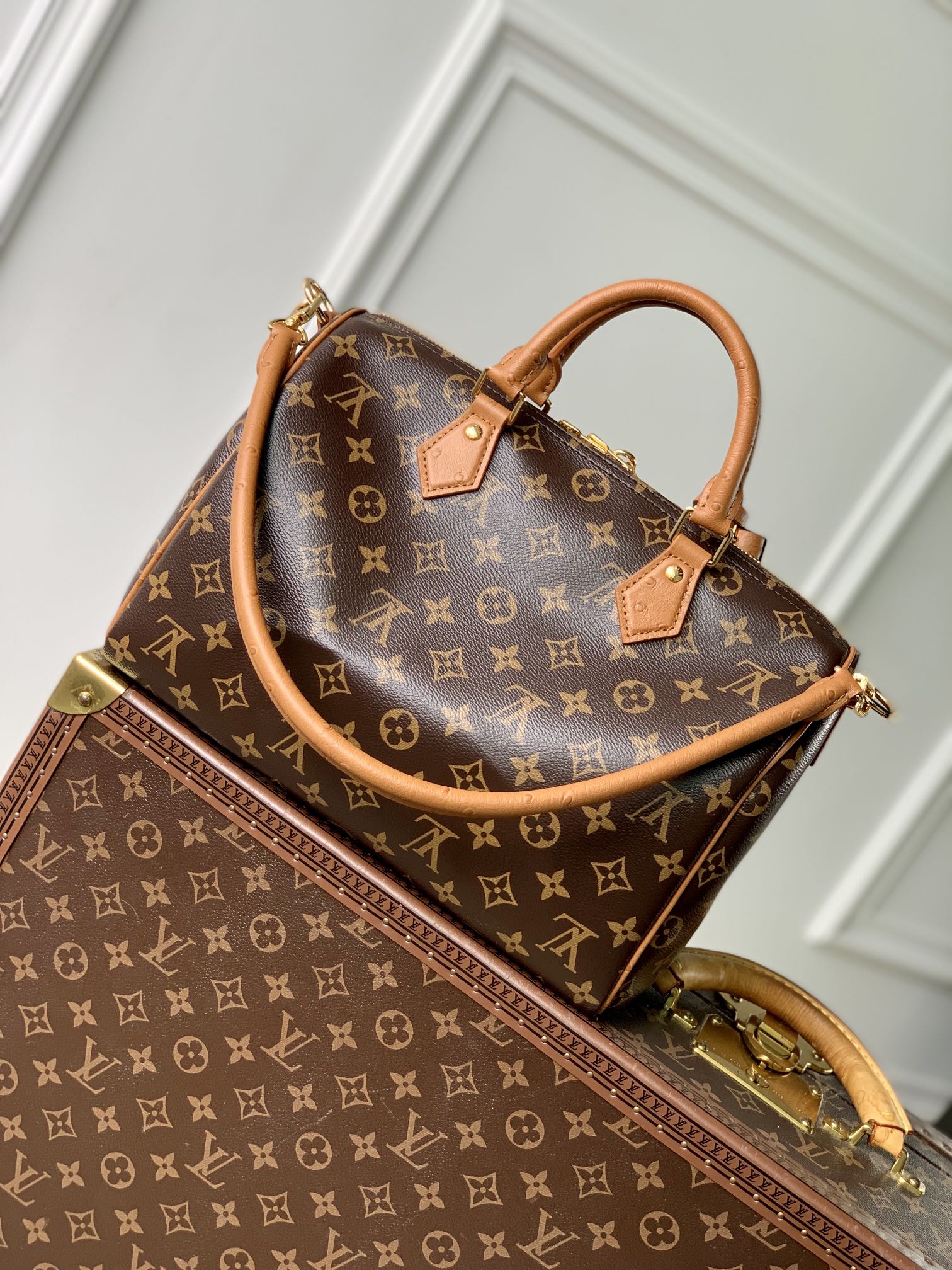 图片[3]-P1960 LV N87212
Speedy Soft 30 Boho 手袋取材经典 Monclerogram 涂层帆布再以皮革内衬和拉链内袋注入色彩反差鸵鸟皮革饰边和珠链汇聚视觉焦点钥匙包和地址牌共筑巧思细节Toron 手柄实现多种背携方式
21 x 17 x 30 厘米
(高 x 宽 x 长度)-高仿包包